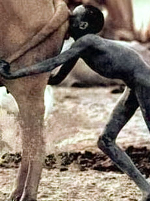 Kevin Carter - Sudan Famine 