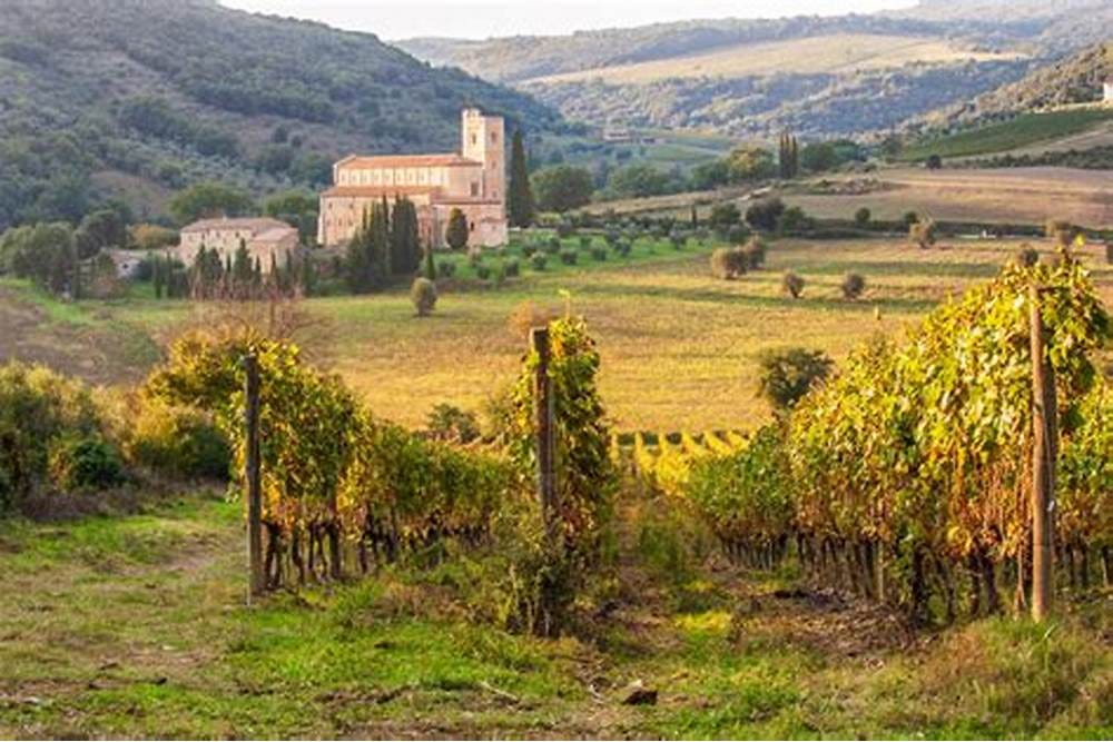 Review Top Siena Brunello di Montalcino Wine Tour: A Luxurious Journey Through Tuscany’s Finest
