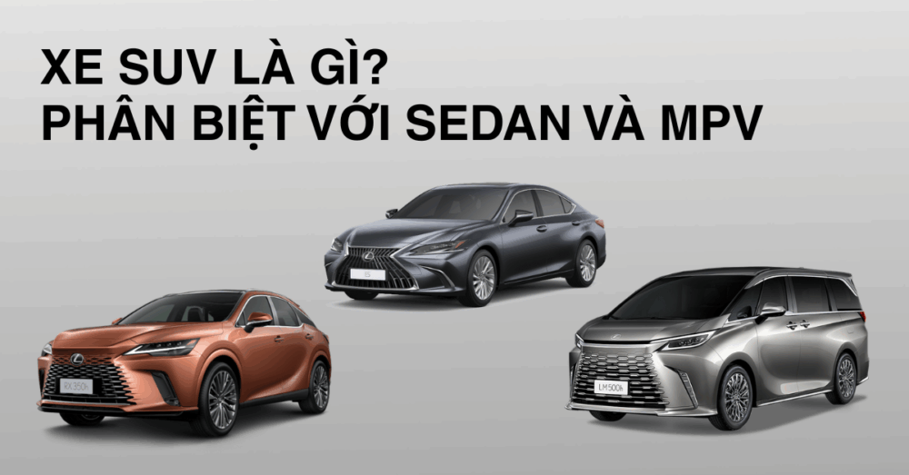 Xe SUV là gì? Phân biệt với Sedan và MPV trong các dòng xe Lexus