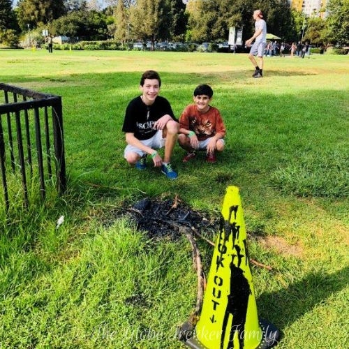 La Brea Tar Pits - A Surprising Find in the Heart of Los Angeles