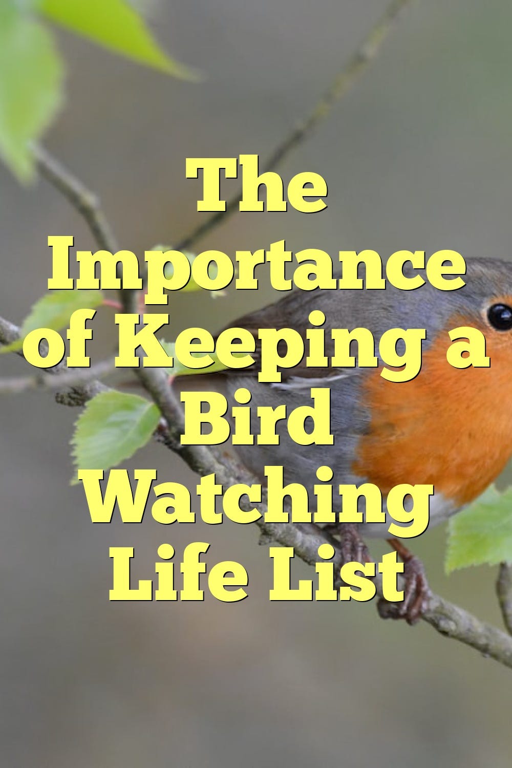 The Importance of Keeping a Bird Watching Life List by Birdsquestions
