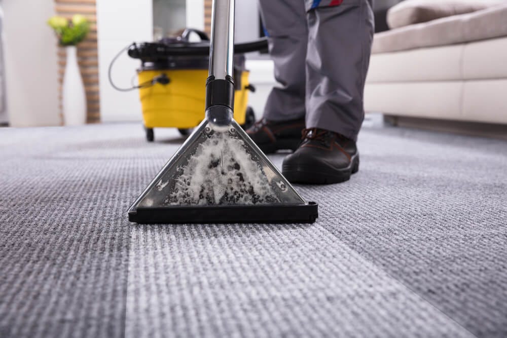 What You Should Know About Walmart Carpet Cleaner Rental | by Inforeport |  Medium