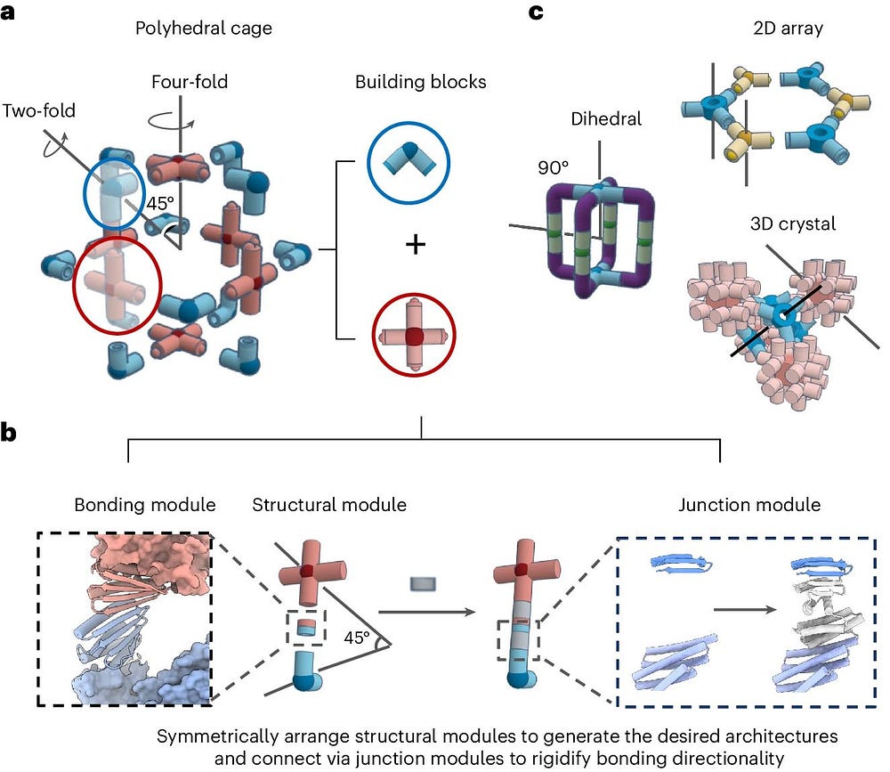 AI-Designed Protein Nanoassembly: Molecular Lego’s Next Frontier!