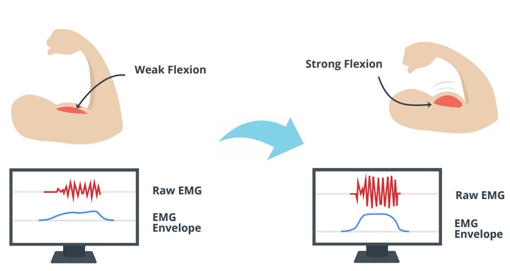 How I Made An EMG Machine To Test Exercises For The Best Hypertrophy