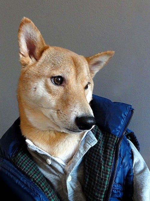 Tumblr_mhata3ff0h1s4yg05o5_r1_500