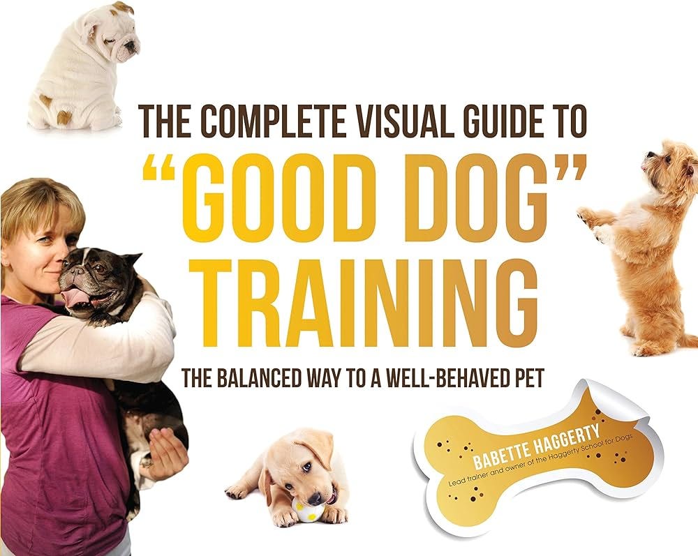 Comprehensive Dog Training Courses for New Pet Owners: Master Tips | by ...