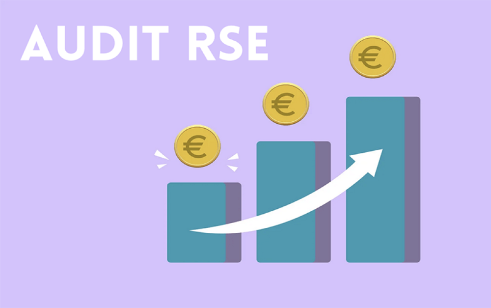 Faire un audit RSE — Le principe de due diligence