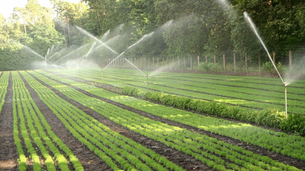 Irrigation 101 From Basics to Advanced Watering Strategies by