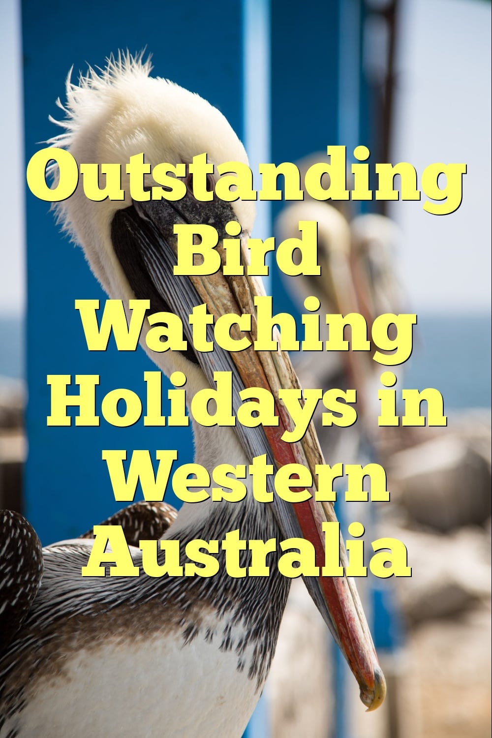 Outstanding Bird Watching Holidays In Western Australia By outstanding-bird-watching-holidays-in-western-australia-by
