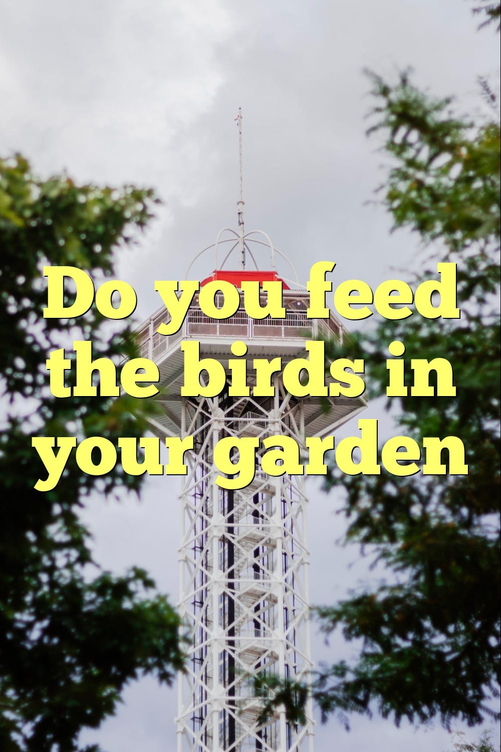 Do you feed the birds in your garden by Birdsquestions Medium