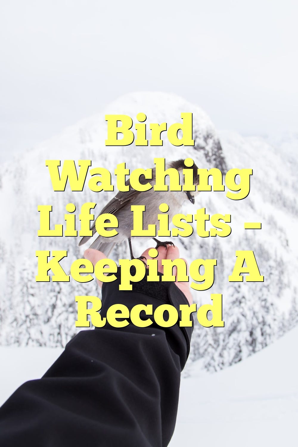 Bird Watching Life Lists — Keeping A Record by Birdsquestions Medium