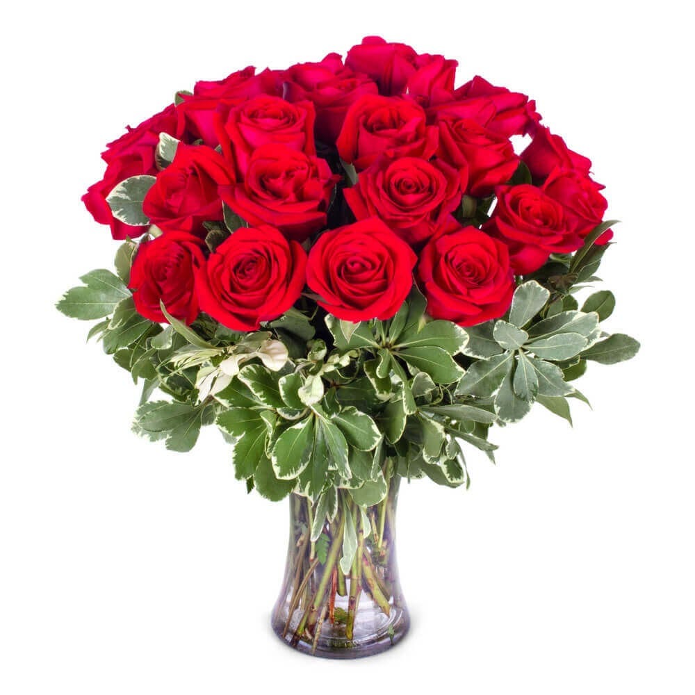 the-complete-roses-meaning-guide-roses-are-surely-one-of-the-most