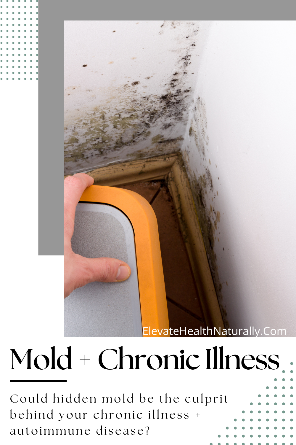10 Warning Signs of Mold Toxicity Spot the Dangers Early! by Soft