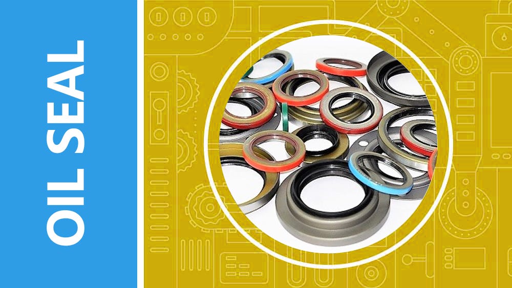 Want to learn more about the unsung heroes of machinery — oil seals?