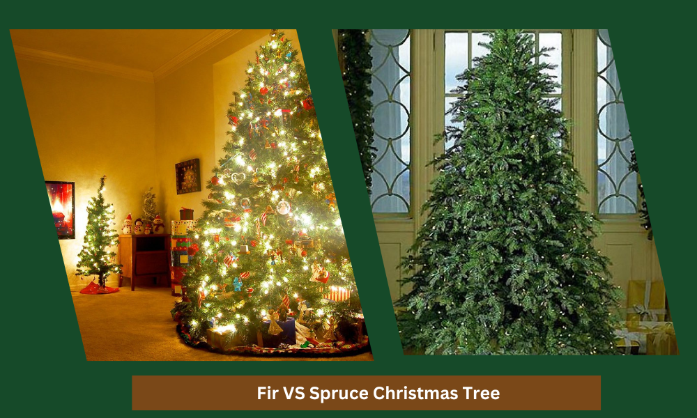 What are the Differences between Spruce vs. pine and fir Artificial