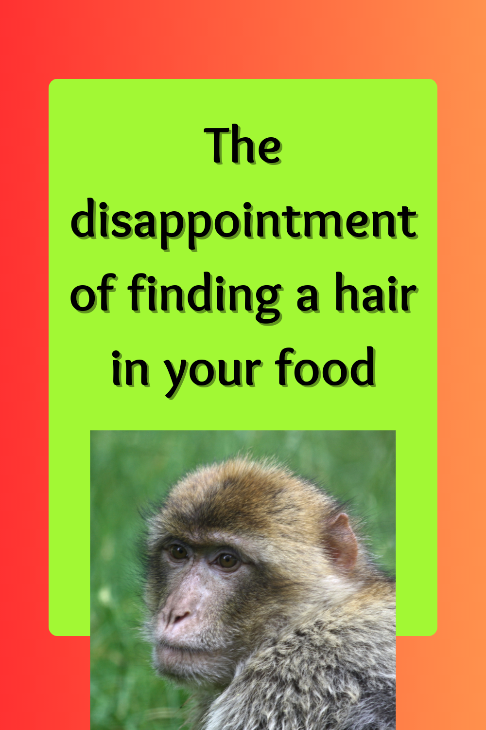 food-memes-hair-in-food-meme-mingle-medium