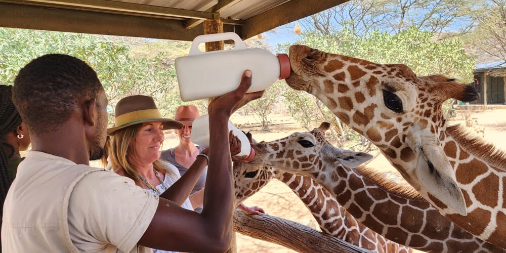 Must-Do Activities in Kenya