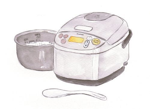 Do You Really Know What You're Eating?: $29.99 rice cooker is