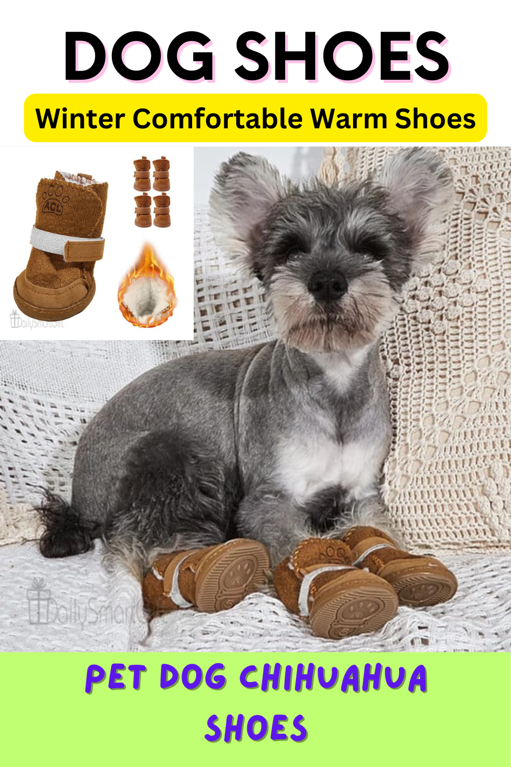 Miniature schnauzer outlet shoes