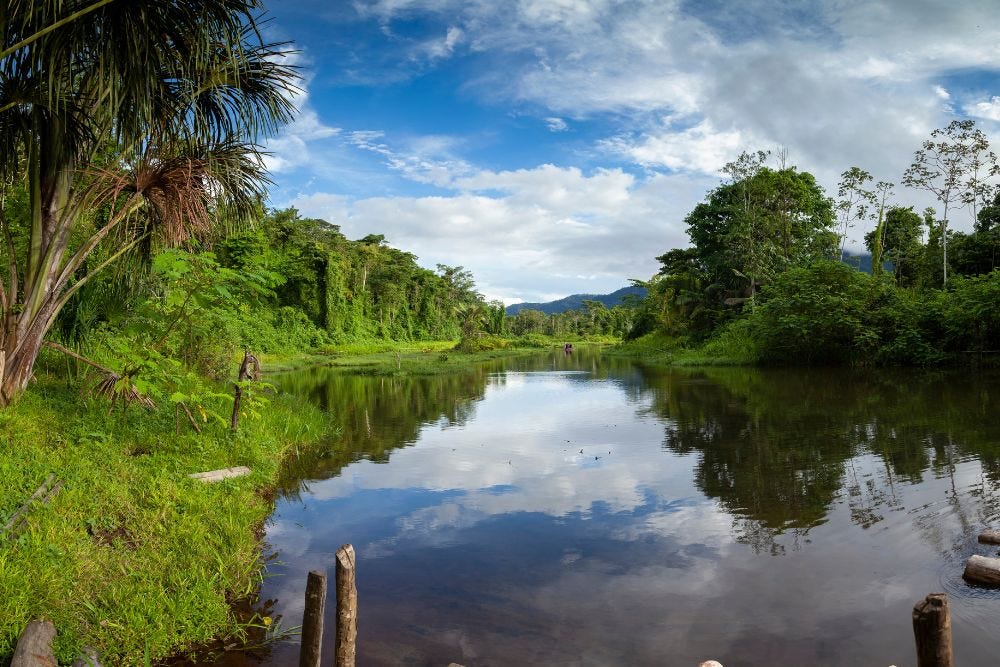 Exploring the Mystical  Rainforest: Your Ultimate Manu