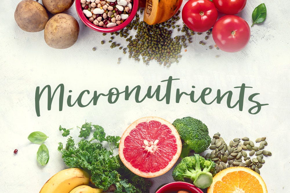 Understanding Micronutrients and Navigating Nutritional Guidelines