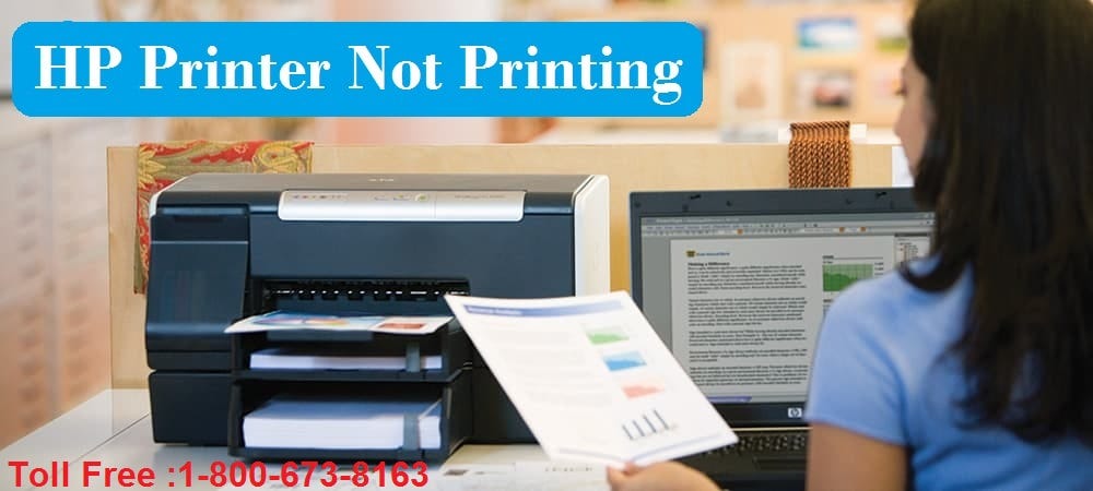 Hp Printer Wont Print From Computer HP Printer Won’t Print From Computer? Use HP Printer Support | by