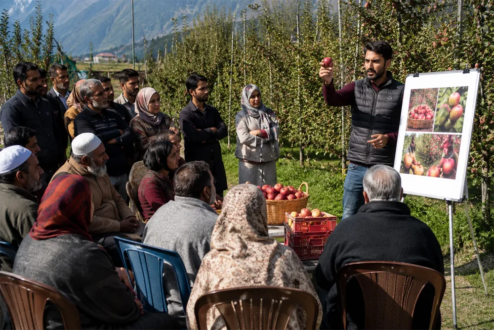 Will APEDA’s Training Initiative for Kashmir Fruit Growers Create Effect?