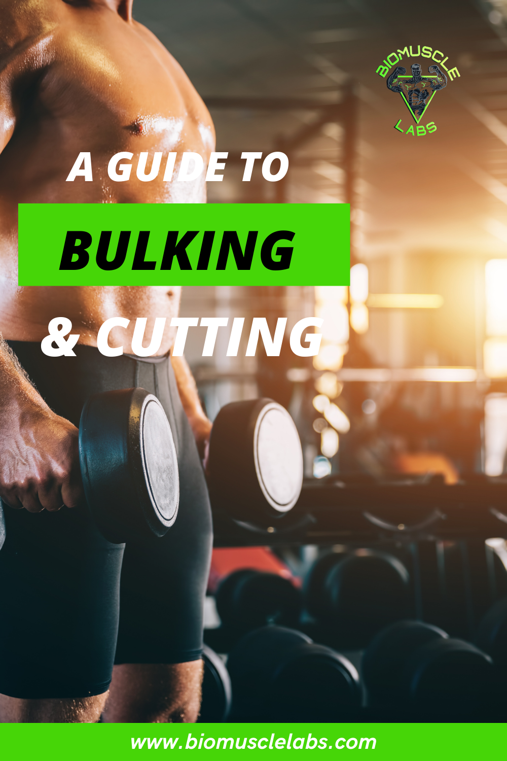 A Guide to Bulking and Cutting BioMuscle Labs BioMuscleLabs