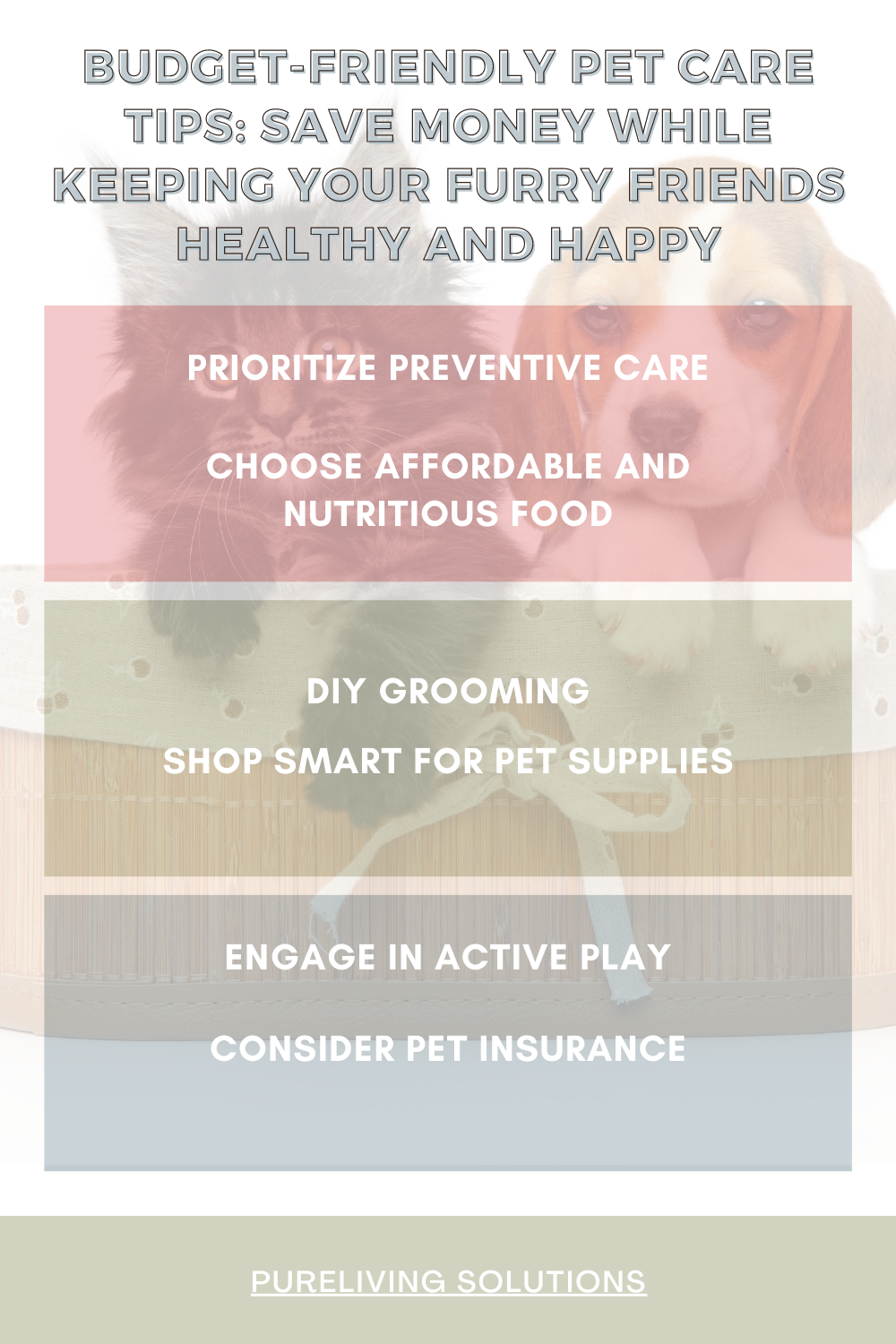 Budget-friendly pet care supplies