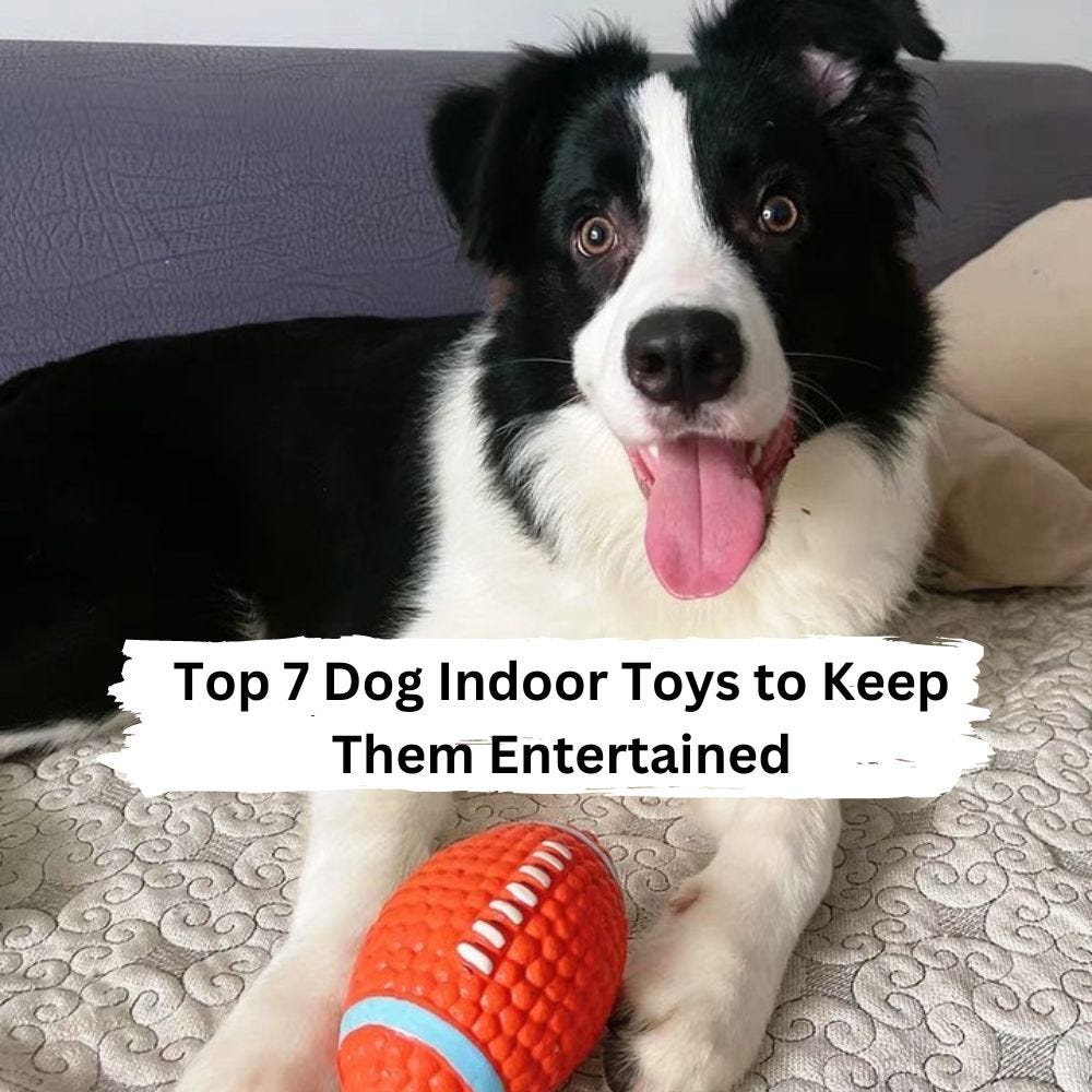 Top 7 Dog Indoor Toys to Keep Them Entertained