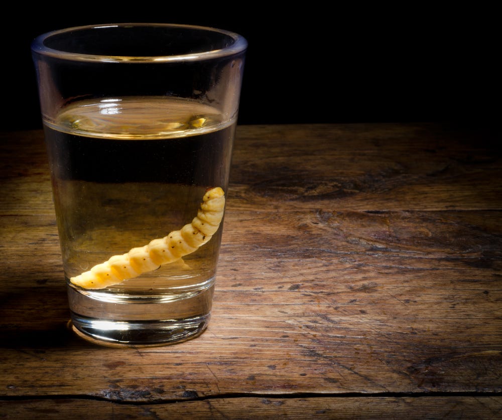 The latest craze is to chase insects with sips of alcohol | by TStreet ...