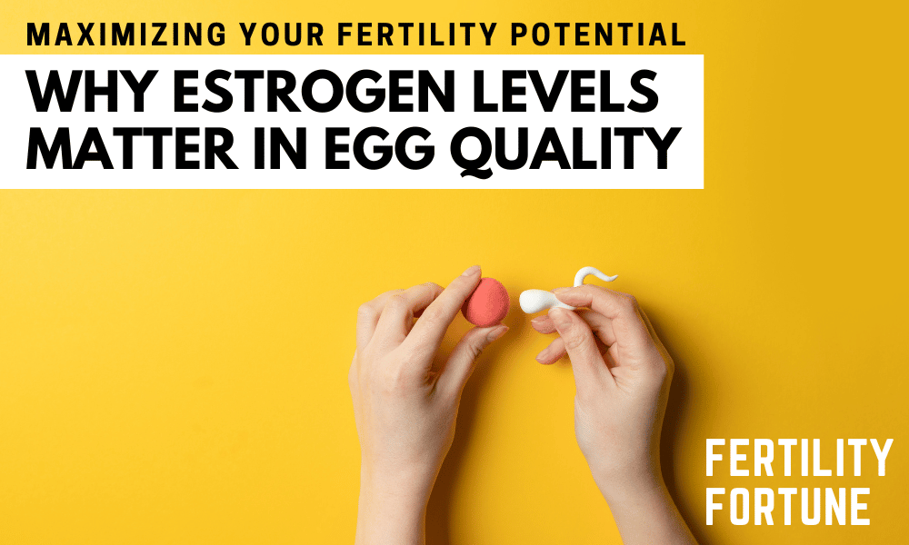 Estrogen levels and Egg Quality The Key to Unlocking Your Fertility