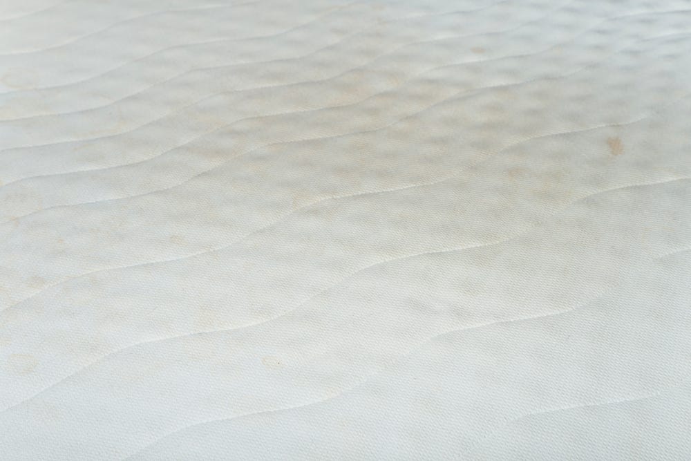 How to Detect Bed Bugs Early: Signs Most People Miss