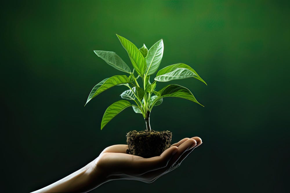 Global Agricultural Micronutrients Market Analysis