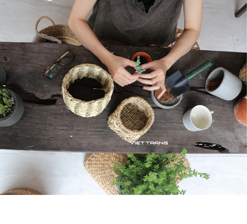 Three benefits of basket weave planters by Truc Linh Ho Medium