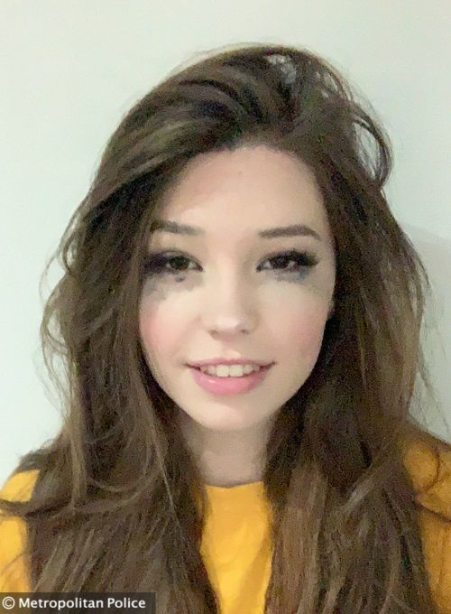 Belle Delphine // Hypersujeito Fenomenológico, by Filipe Siqueira, Sabotagem