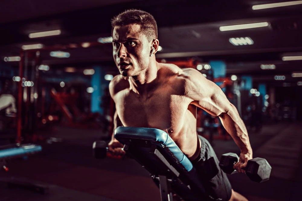 Bench Shoulder Exercises You Can Do Medium