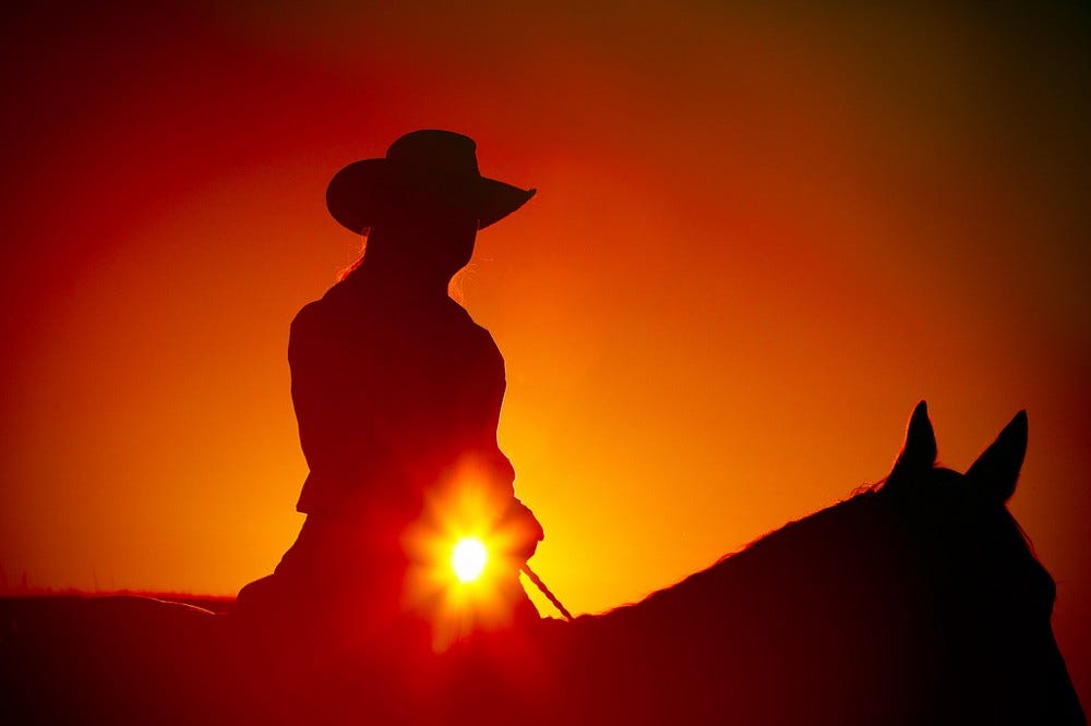 Ride Me Cowgirl