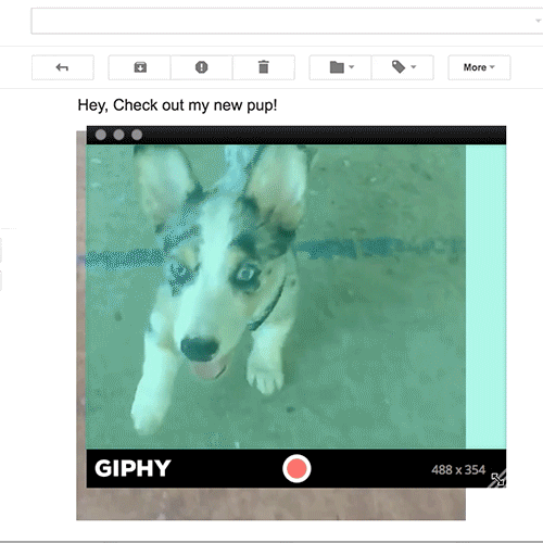 Making animated GIF instantly using GIPHY Capture for Mac OSX, by Binh Bui
