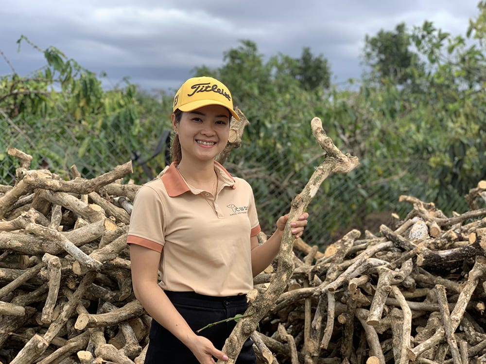 The Importance of Raw Materials in the Coffee Wood Chew Toy Industry