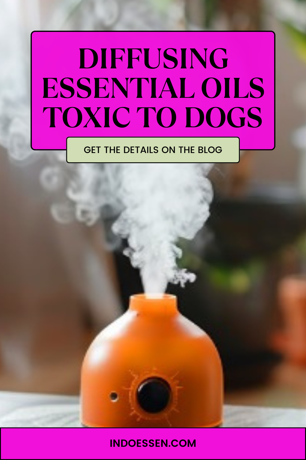 Diffusing essential oils toxic to dogs Monica Denvert Medium