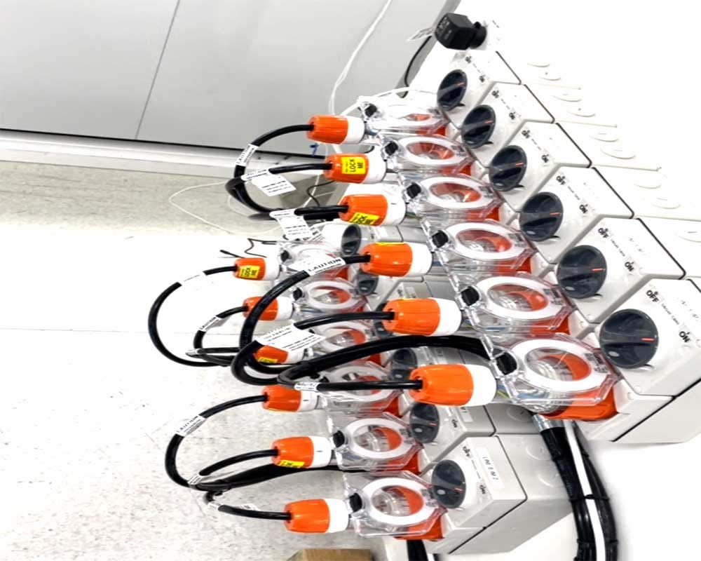 Electrical Test And Tag Services Erect Medium