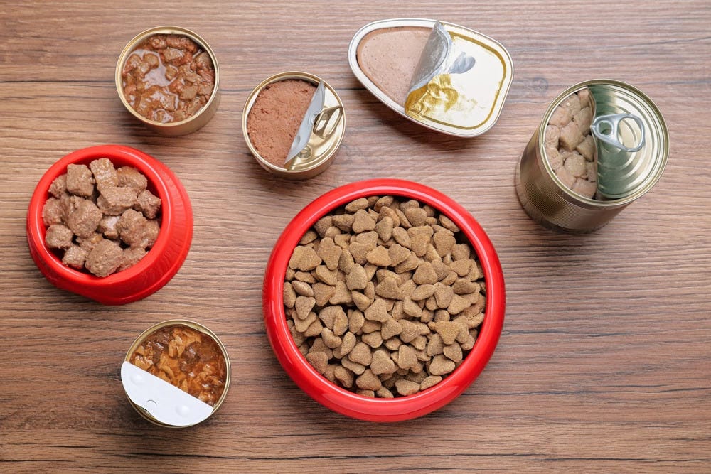 Choosing Healthy Dog Food in Singapore A Guide to Nutritious Options