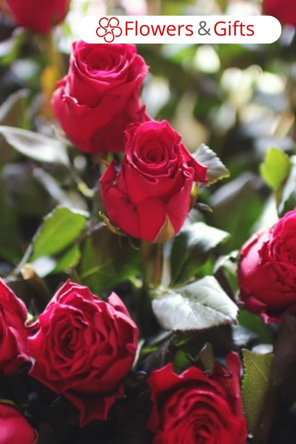 How do I send flowers to someone in California? by Order flowers and gifts Aug, 2023 Medium