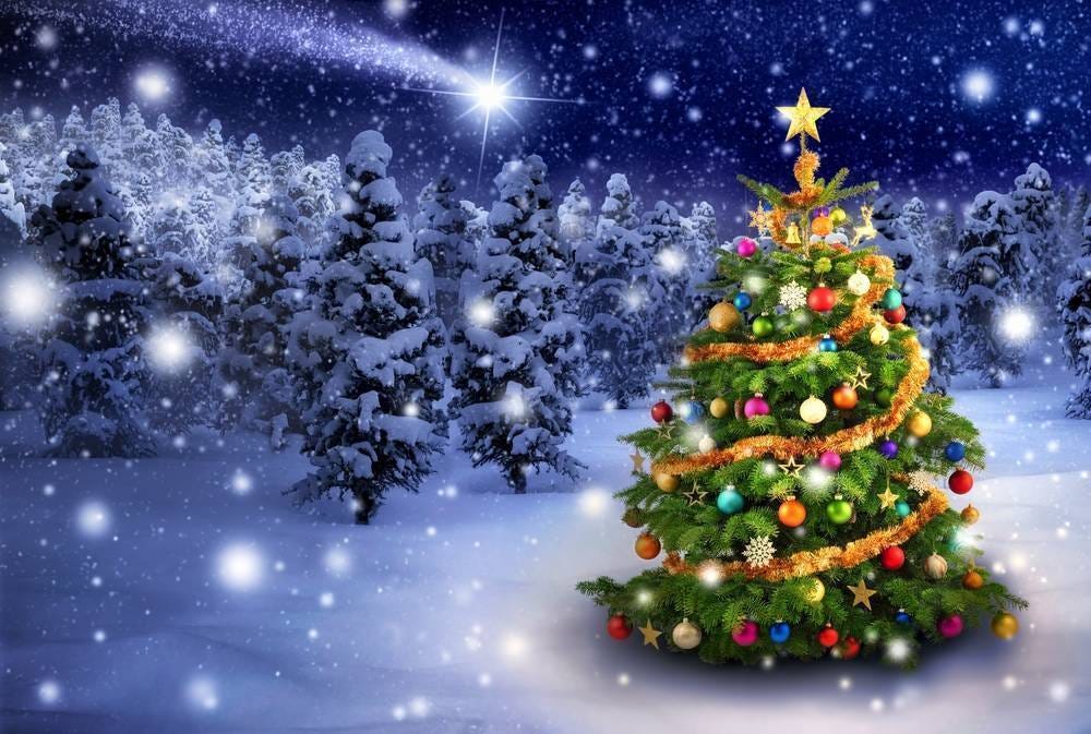 Free Christmas Trees Application. Are you ready to deck the halls and