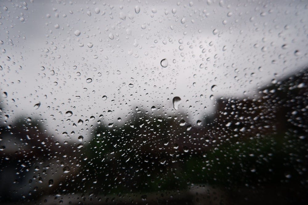 Rain in February Sayan Ghosh Dastidar Medium Rain in February Sayan Ghosh Dastidar Medium
