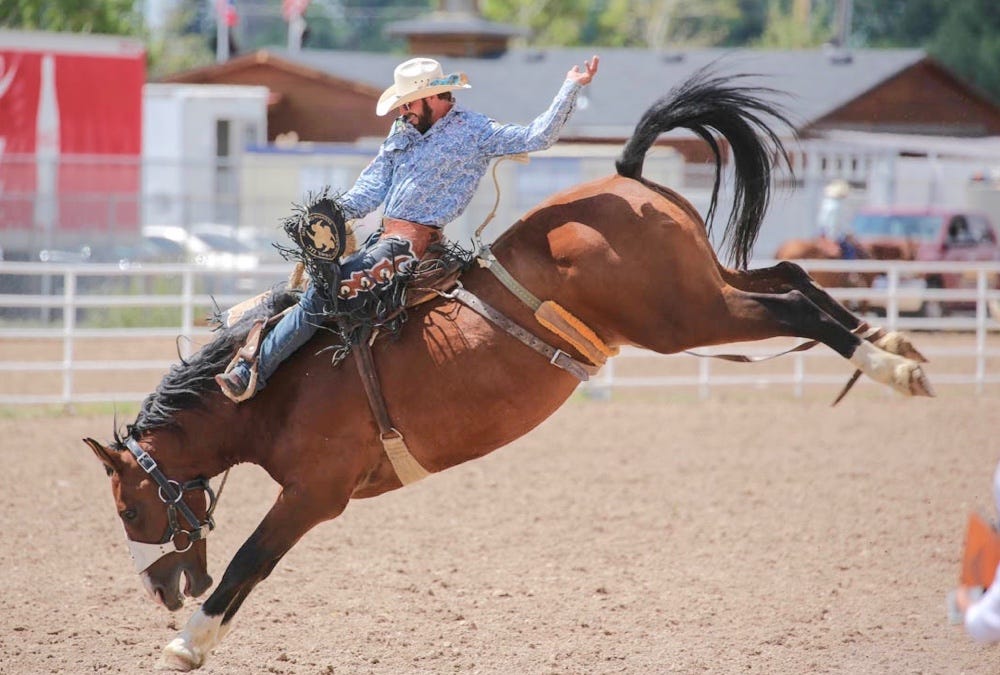 Rough Stock Rodeo. What is Rough Stock? by Camryn Cearley Medium
