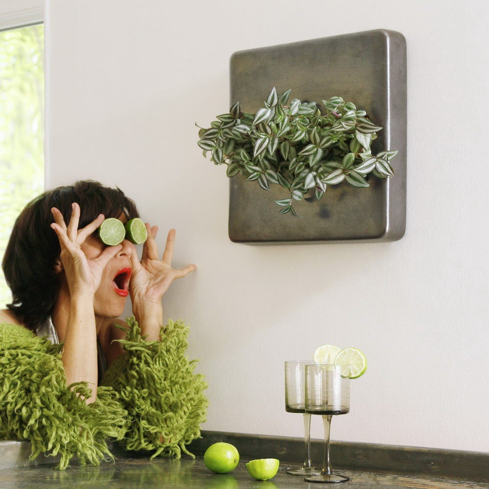 Фитокартины FlowerBox. Вряд ли кто-то не согласится с… | by ...