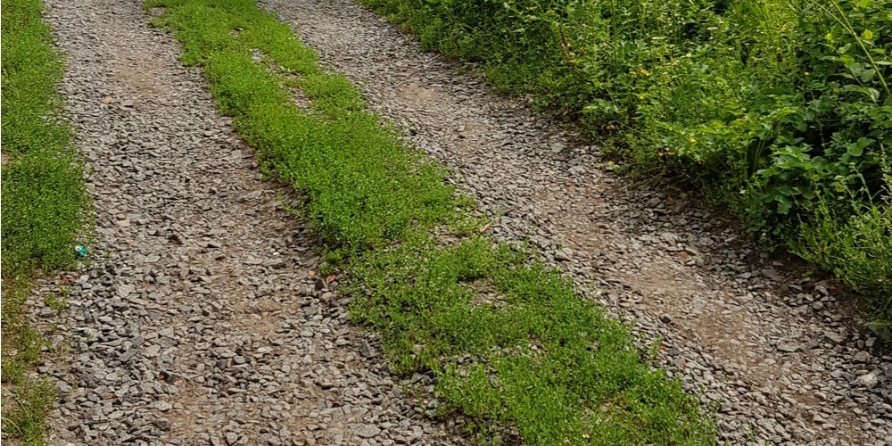How To Fix A Gravel Driveway Overgrown With Grass? by FSC Club Medium