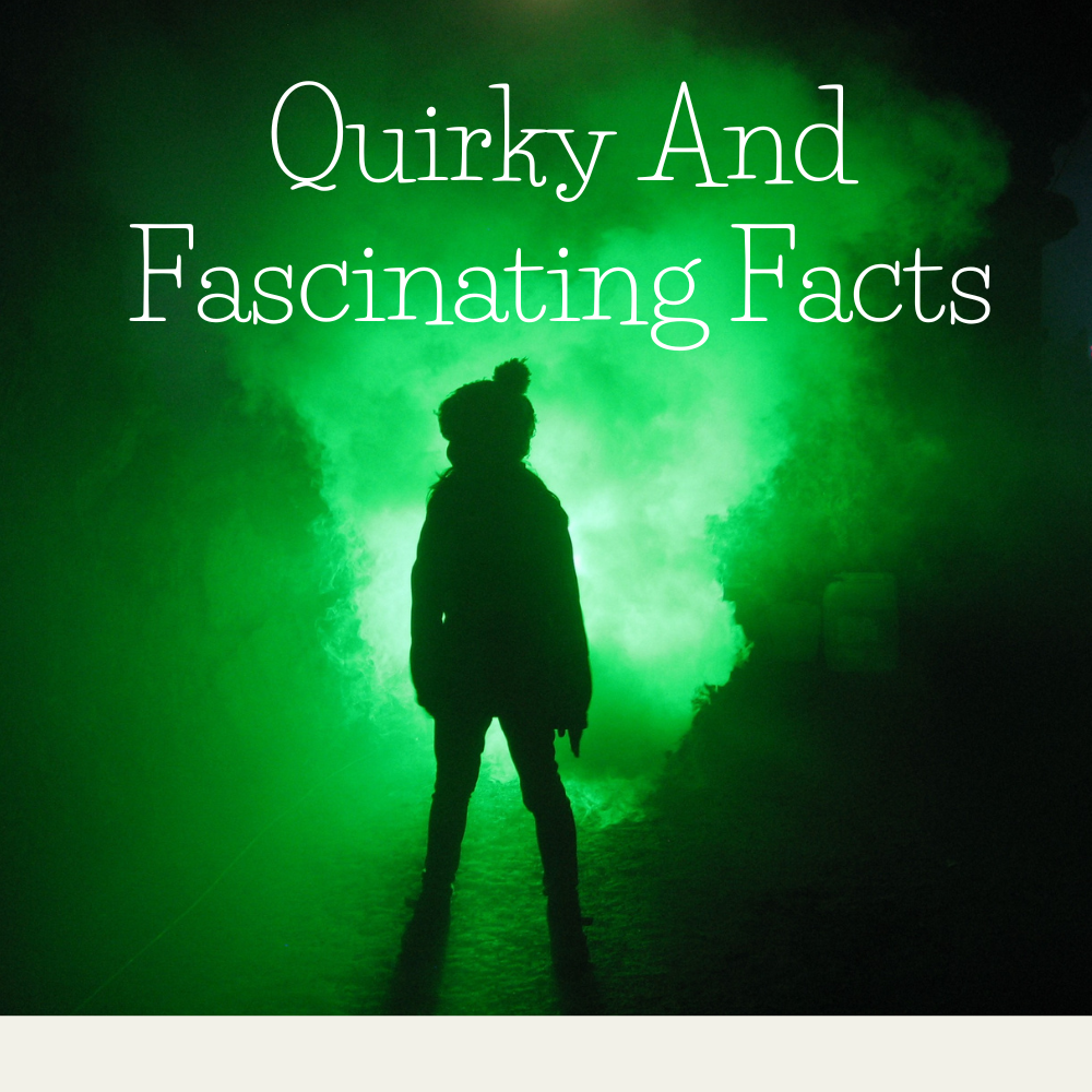 People following Quirky And Fascinating Facts